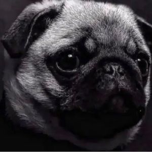 Meet your Posher, Sergio